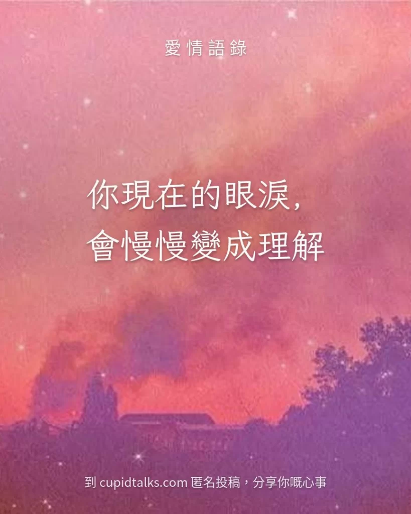 「你現在的眼淚，會慢慢變成理解」